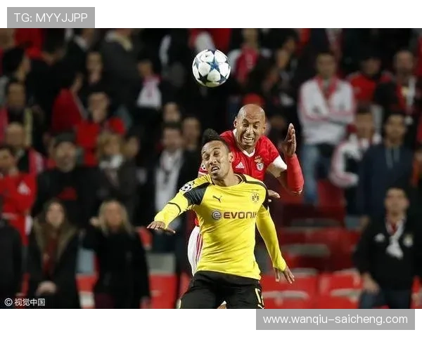 玩球直播网页版避坑泛体育平台对比防骗